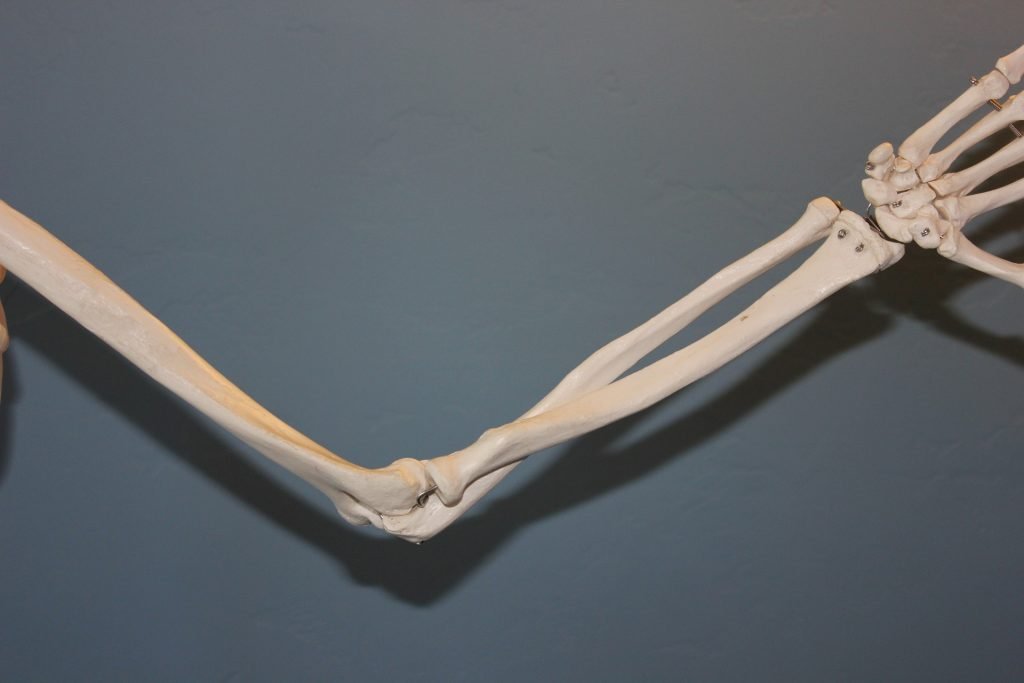 Calcium Deficiency. skeleton. bone. www.blisslife.in